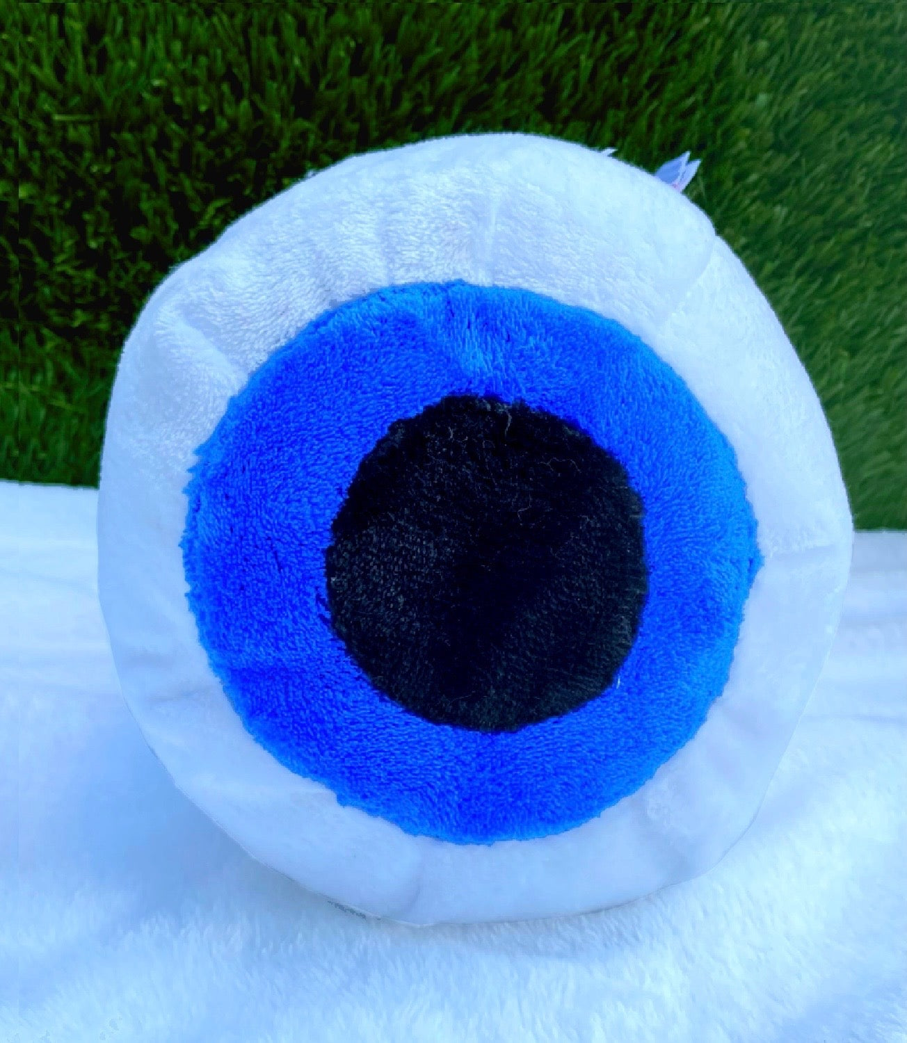 Globo ocular (Ojo)