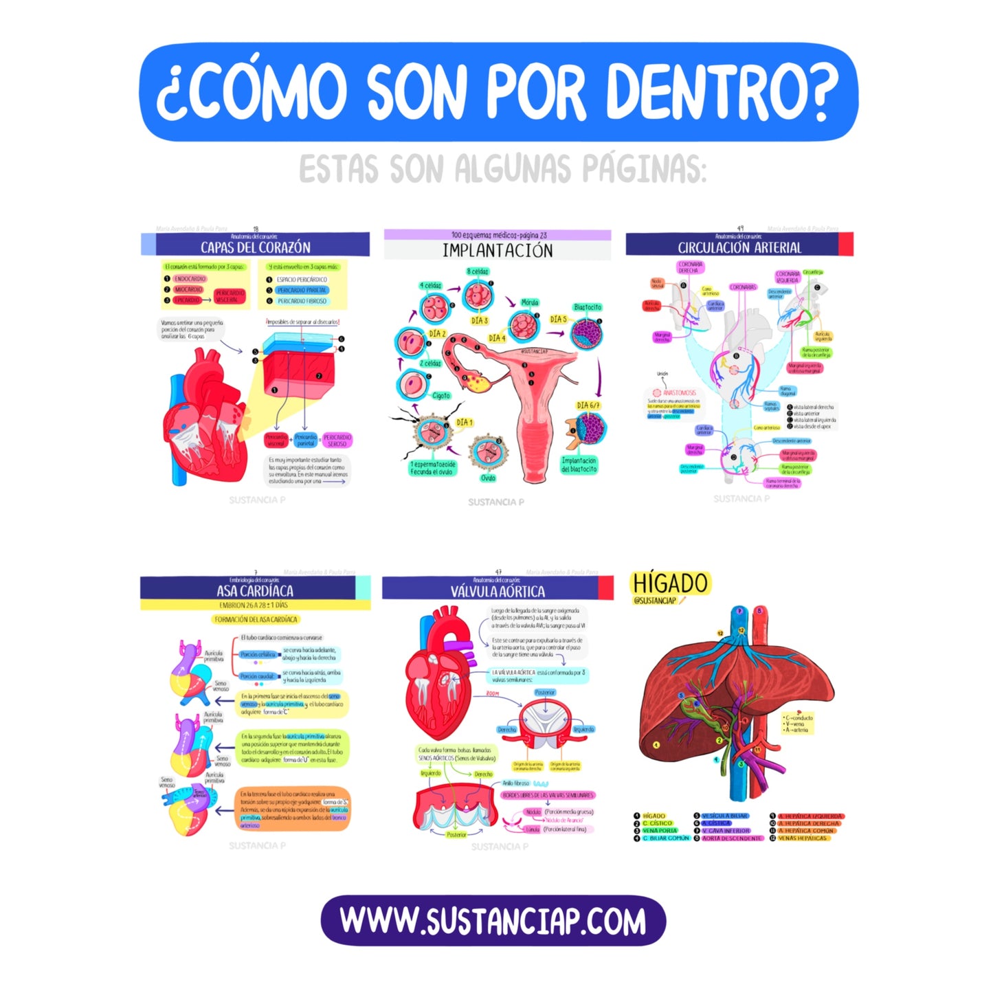 Pack 5 Ebooks Colombia