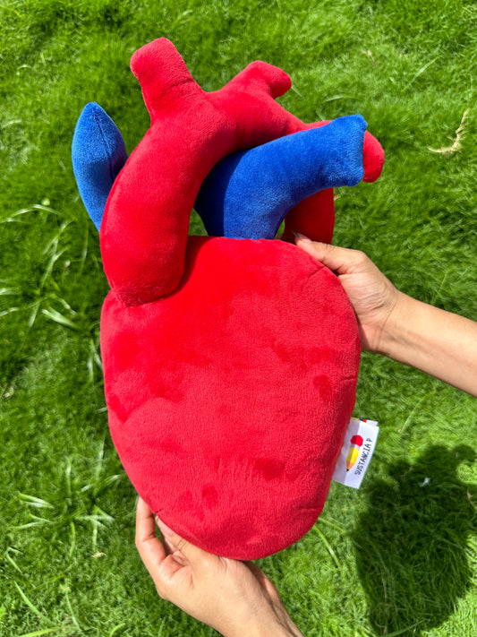 Corazón