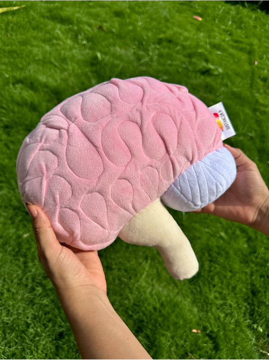 Cerebro
